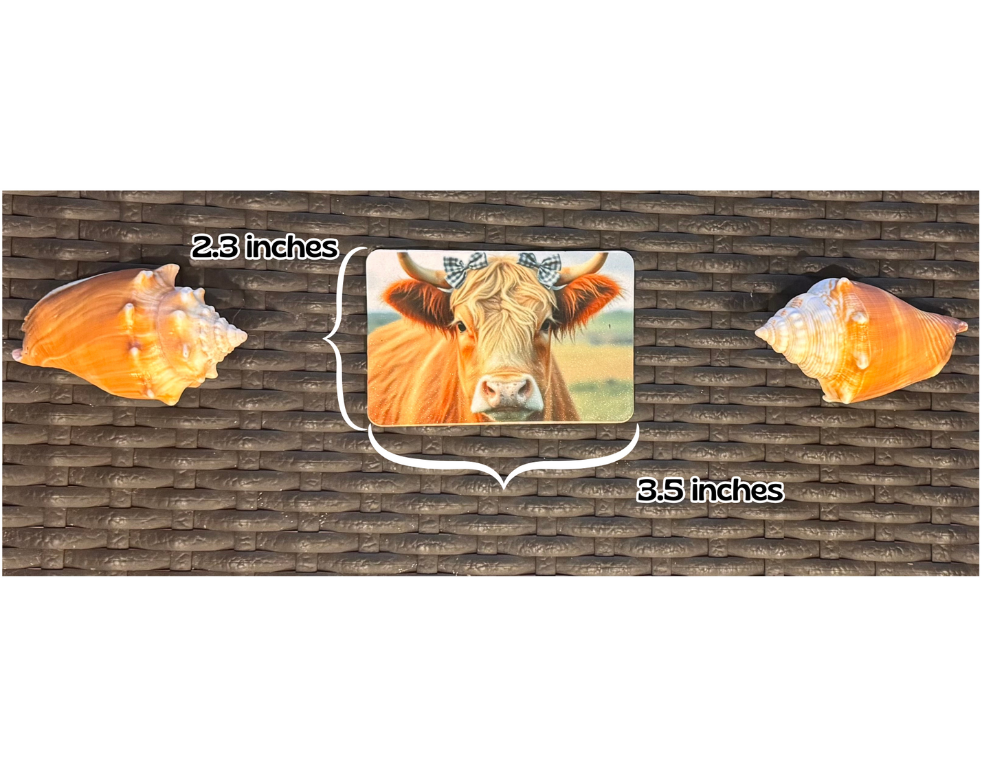 Refrigerator magnet