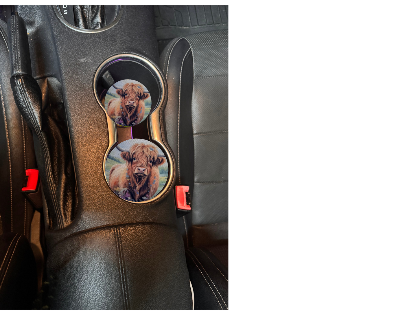 Sublimated Mountain Cow Car and Truck Coasters