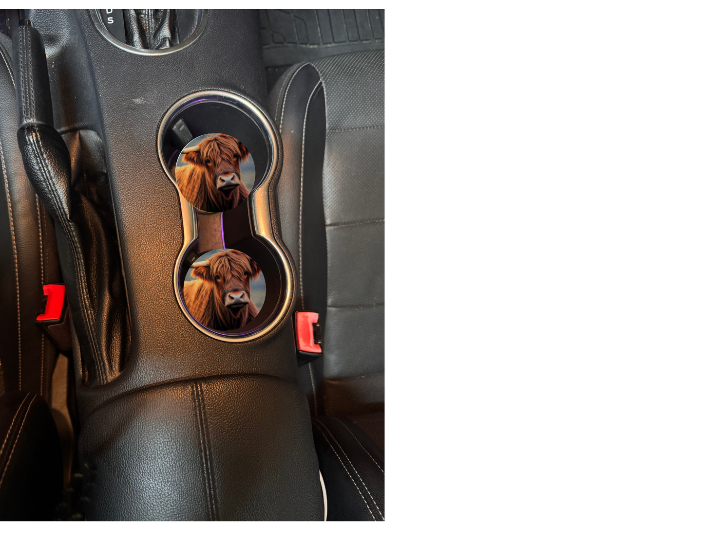 Sublimated Highland Cow Car and Truck Coaster