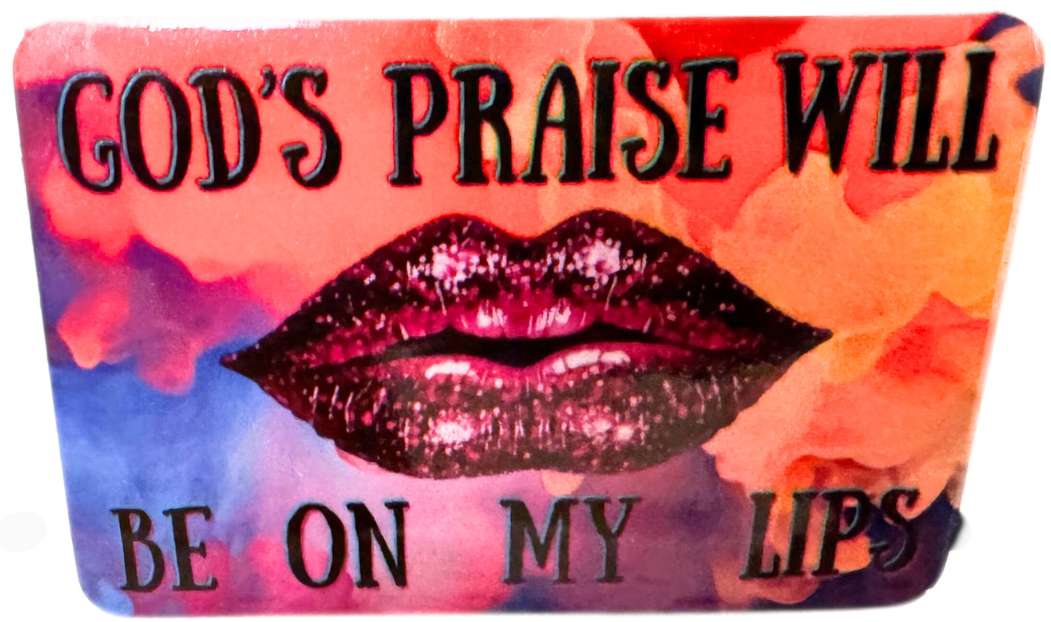 Refrigerator magnet fridge magnet 