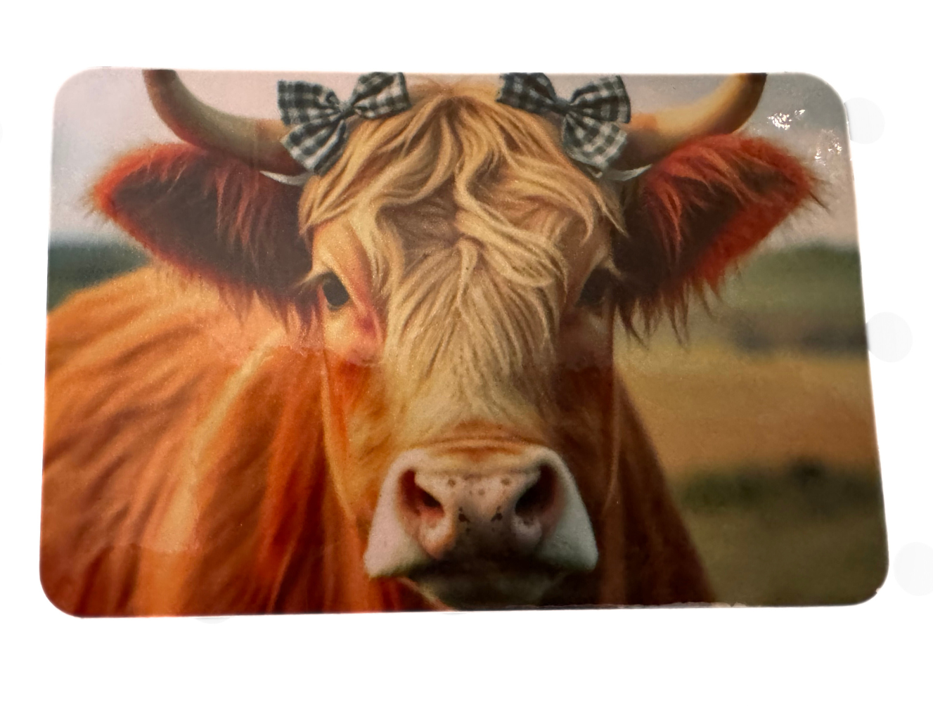 Refrigerator magnet fridge magnet 