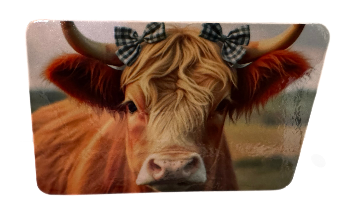 Refrigerator magnet fridge magnet 