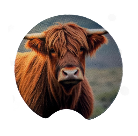 Car coaster auto coaster drink coaster