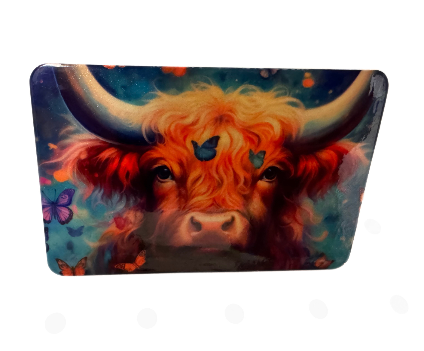 Refrigerator magnet fridge magnet 