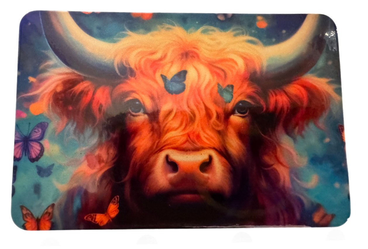 Refrigerator magnet fridge magnet 