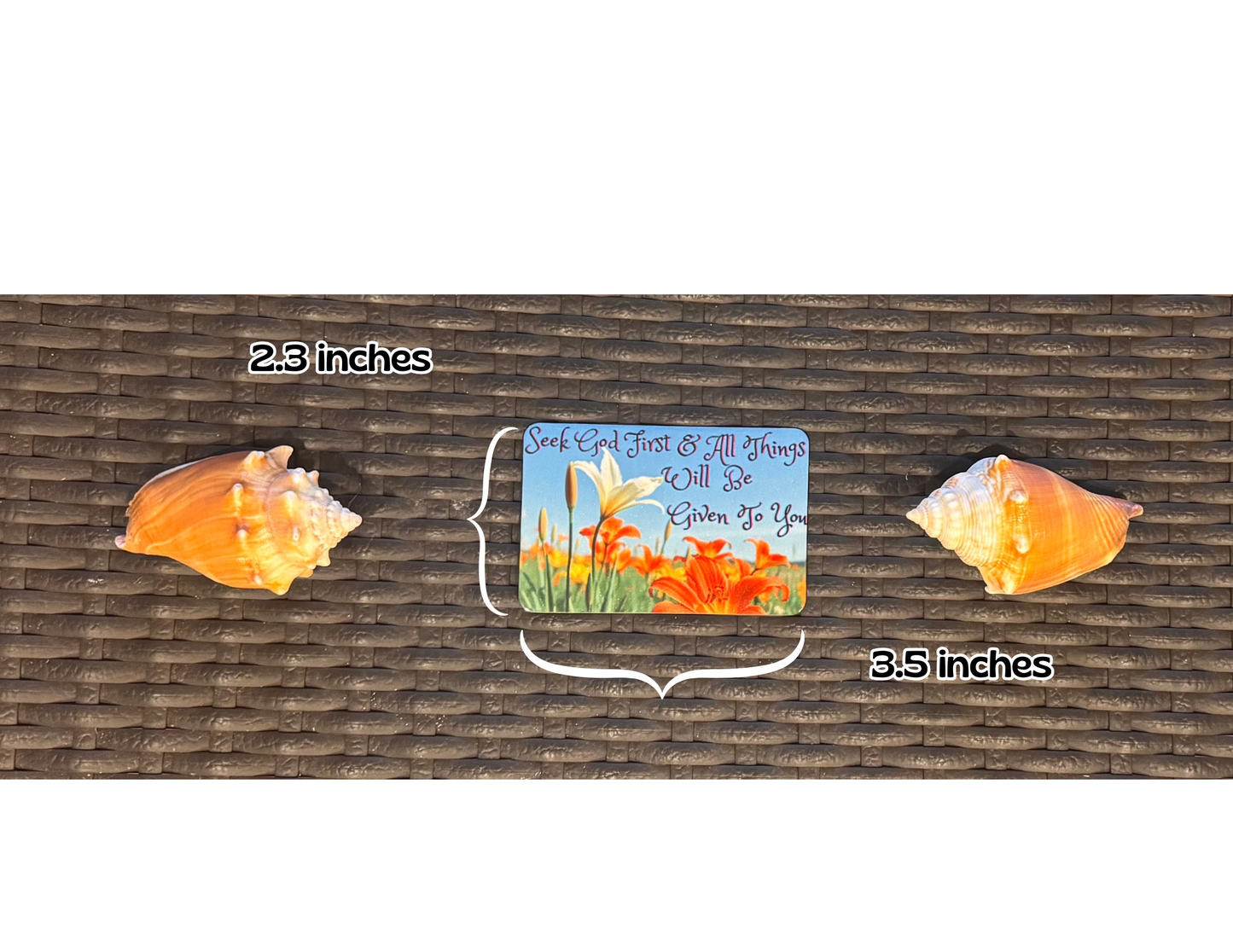 Fridge magnet 
