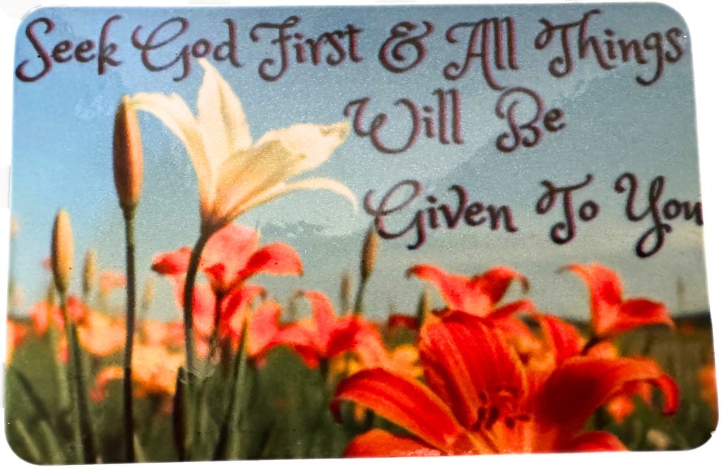 Refrigerator magnet fridge magnet 