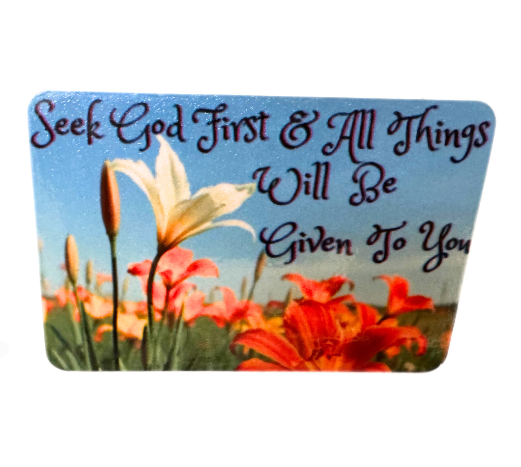 Refrigerator magnet fridge magnet 